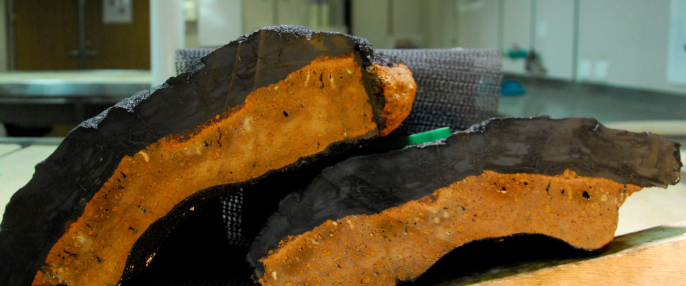 Glamour shot of a piece of altered basalt from the Nova Seamount. Aki on camera has nailed the soft mood lighting.