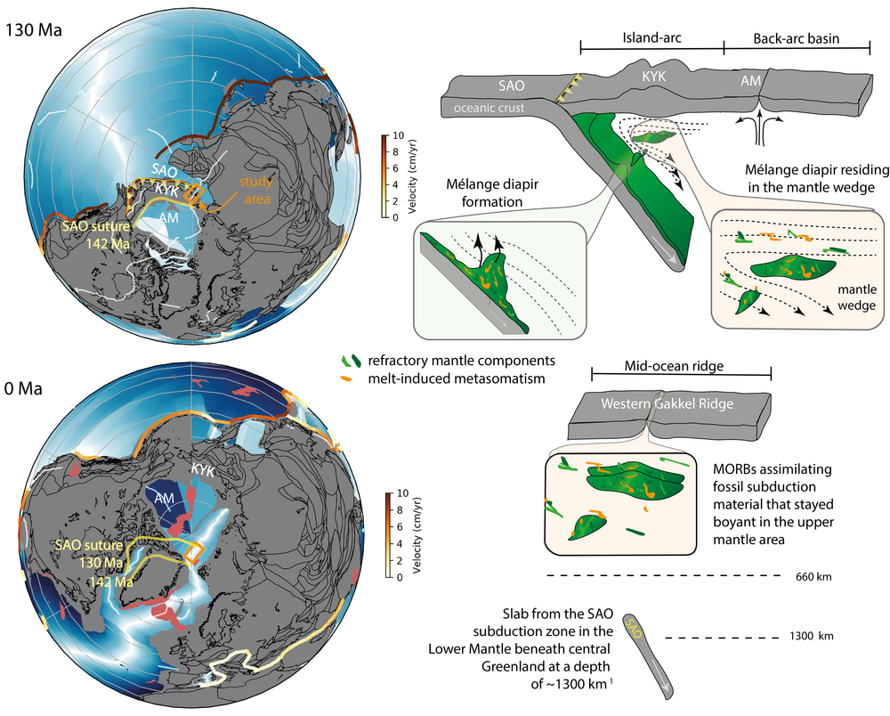 Paleogeography of the circum Arctic region. Upper panel: Active island-arc volcanism in the sample area leaving a geochemical imprint in the upper mantle at 130 Ma. Lower panel: After the island-arc volcanism ceased parts of the tectonic plate broke off and sank into deeper mantle areas (~1300 km), whereas the island-arc collided with parts in Siberia. Remnants of the island-arc volcanism 130 Myr's ago stayed buoyant in the upper mantle and became inherited in the basalts at present.