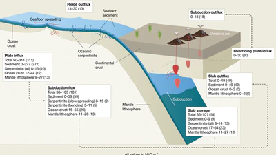 Evolution of Earth’s tectonic carbon conveyor belt featured image